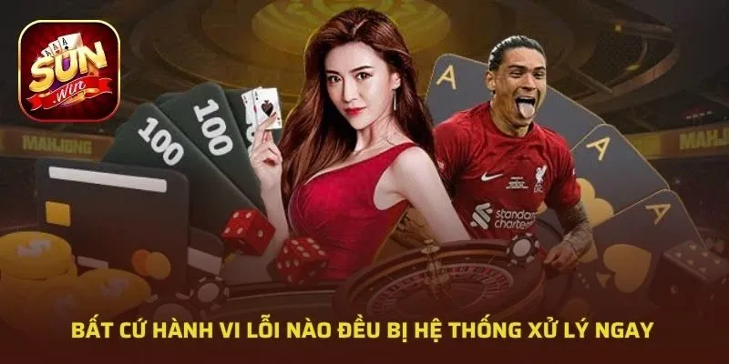 Phạm vi áp dụng điều khoản và điều kiện Sunwin